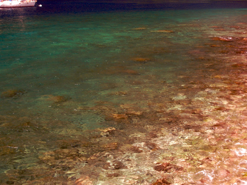 Melanie Heinrich - Travel St. Lucia